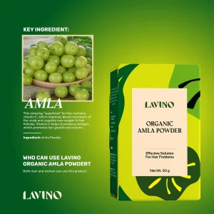 Lavino Organic Amla Powder A Content Amla 2